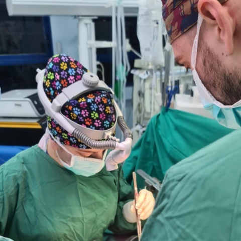 Η Κωνσταντίνα Ελένη Καρακάση είναι η πρώτη γυναίκα χειρουργός μεταμοσχεύσεων ήπατος στην Ελλάδα