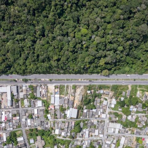 Η ρύπανση στον Αμαζόνιο χειρότερη από το Λονδίνο και το Πεκίνο - Νέα δεδομένα της Greenpeace - Aιτία η βιομηχανική κτηνοτροφία. 