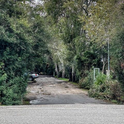 Φοινικούντα: Τι ρωτά επίμονα τον ανιψιό του ιδιοκτήτη του κάμπινγκ η ανακρίτρια