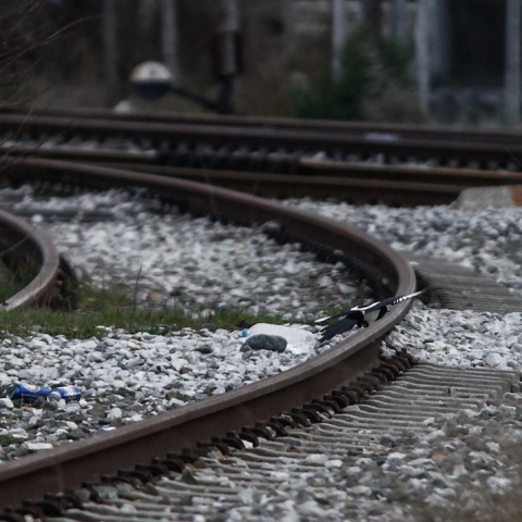 Γραμμές τρένου