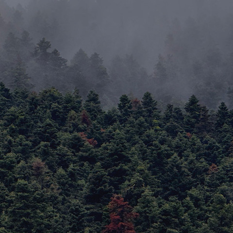 Εκδρομή με το αυτοκίνητο: μια απόδραση του μυαλού