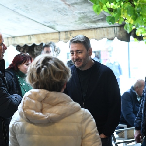 Νίκος Ανδρουλάκης