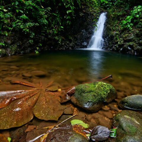 Η Ελληνική Εταιρεία Προστασίας της Φύσης για τα διακυβεύματα της COP30 για το κλίμα