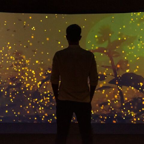 Το Εθνικό Μουσείο Φυσικής Ιστορίας Γουλανδρή  παρουσιάζει τη συναρπαστική Έκθεση «Βιοποικιλότητα. Όλα συνδέονται».