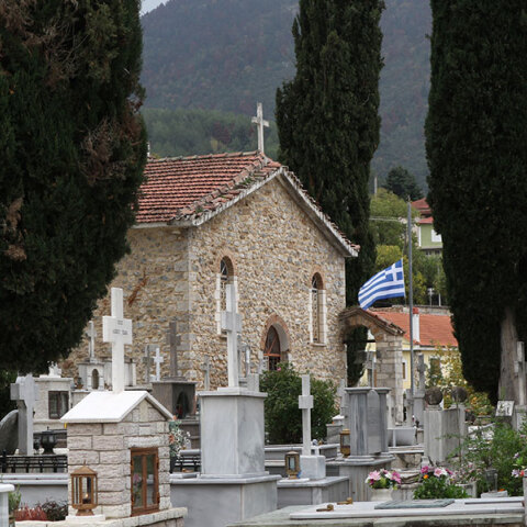 Δενδροφύτευση στα Καλάβρυτα: Όταν το συλλογικό τραύμα γίνεται σπόρος αναγέννησης