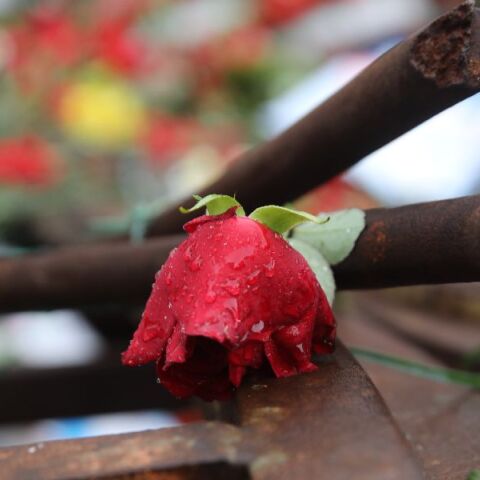 Πολυτεχνείο 2025: Για ποιους είναι αργία η 17η Νοεμβρίου και για ποιους όχι