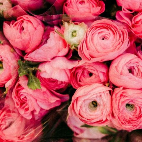 Εορτολόγιο: Σήμερα 18 Νοεμβρίου 2025 γιορτάζει…