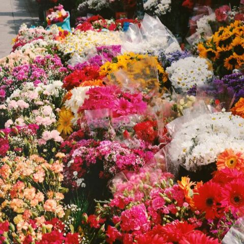 Εορτολόγιο: Σήμερα 21 Νοεμβρίου 2025 γιορτάζει…