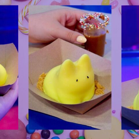  jiggly-cat γλυκό;