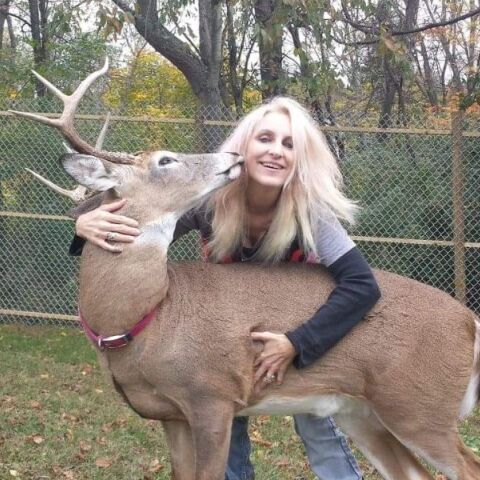 Γυναίκα στο Οχάιο πέθανε μετά από επίθεση ελαφιού που είχε διασώσει και φρόντιζε - Η κόρη της ξεκαθάρισε ότι δεν ήταν το πρώτο ελάφι που είχε σώσει.
