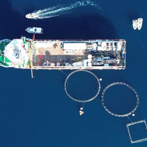 40 τόνοι απορριμμάτων απομακρύνθηκαν από εγκαταλελειμμένη μονάδα ιχθυοκαλλιέργειας στα Μέθανα - Κοινή δράση Healthy Seas και Ιδρύματος Λασκαρίδη.