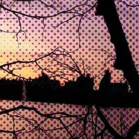 Thanksgiving: Η ημέρα των ευχαριστιών