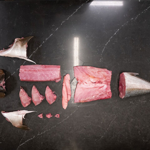 Βασίλαινας