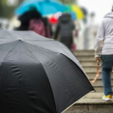 Κακοκαιρία Adel: Ποια σχολεία είναι κλειστά σήμερα - 