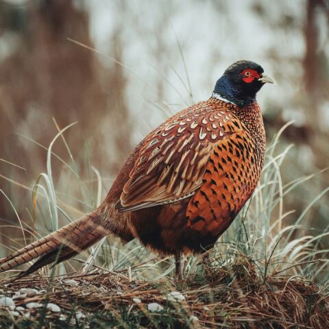 athensvoice_-_2025-12-02t172543_618