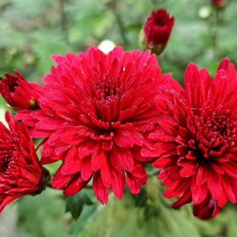 Εορτολόγιο: Σήμερα 4 Δεκεμβρίου 2025 γιορτάζει…