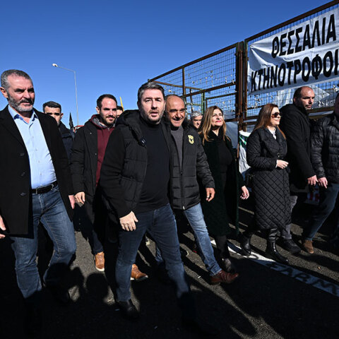 Όταν ο Ανδρουλάκης αντιγράφει την Παπαρήγα