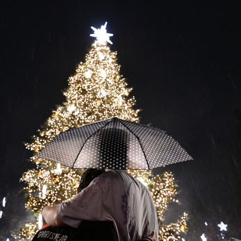 Ζευγάρι κάτω από ομπρέλα κοιτά το χριστουγεννιάτικο δέντρο στην πλατεία Συντάγματος