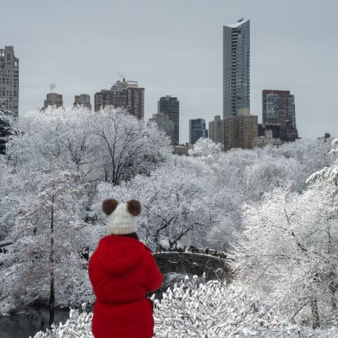 Χιόνια στη Νέα Υόρκη - Το Central Park χιονισμένο και μαγευτικό 