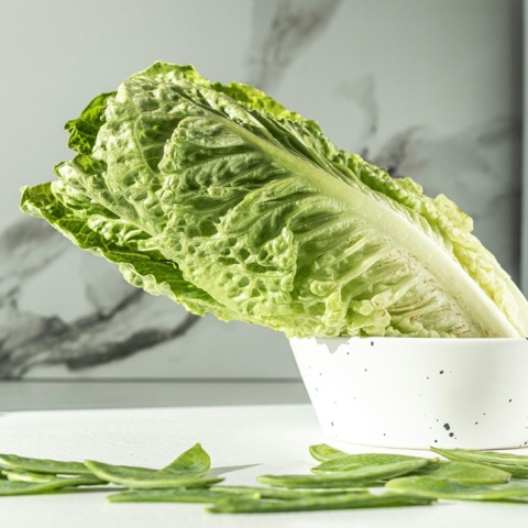 Μαρούλι μέσα σε μπολ