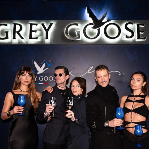 _hero_photo_grey_goose___minas