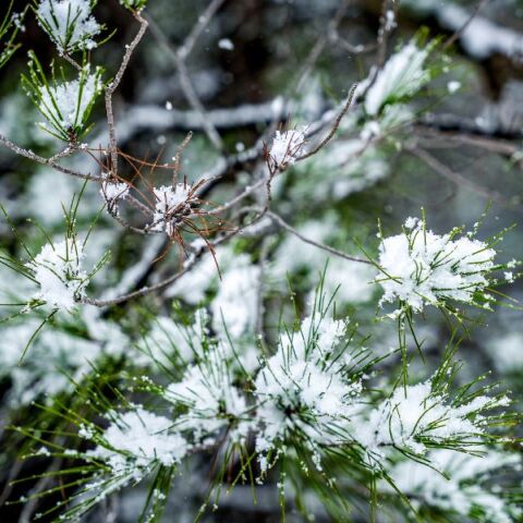 Καιρός: Βροχές στα νότια και παγετός στα βόρεια την Κυριακή 21 Δεκεμβρίου - Καταιγίδες σε Κρήτη και Δωδεκάνησα, χαμηλές θερμοκρασίες στην ηπειρωτική χώρα