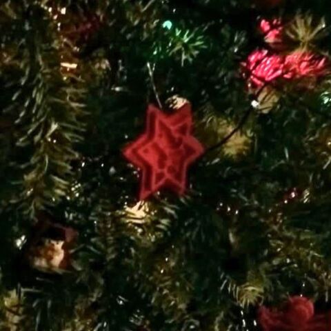 Οι δώδεκα ημέρες των Χριστουγέννων