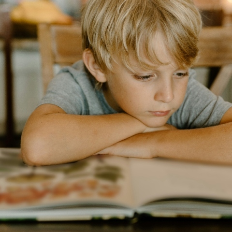 Τα παραδοσιακά παραμύθια 