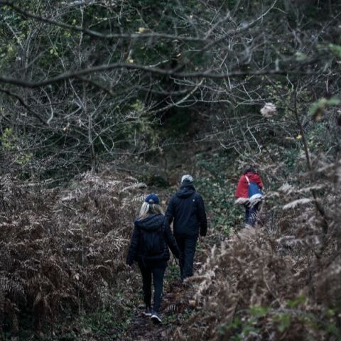 Αγωνία στη Φωκίδα: Αγνοούνται τρεις ορειβάτες στα Βαρδούσια - Τους ψάχνουν με drones και σκύλους