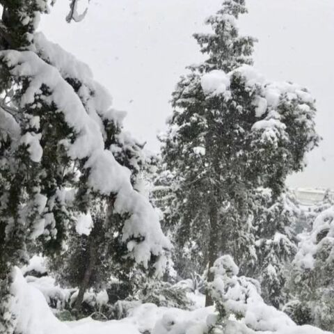 Η Πρωτοχρονιά και τα έθιμά της