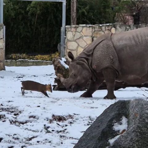 athensvoice_-_2026-01-09t200841_955