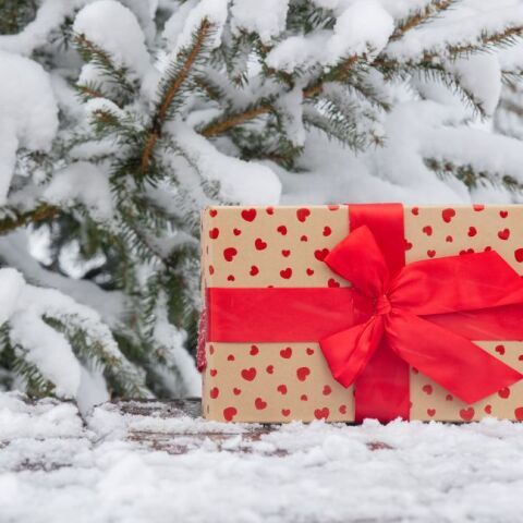 Δώρο στο χιόνι