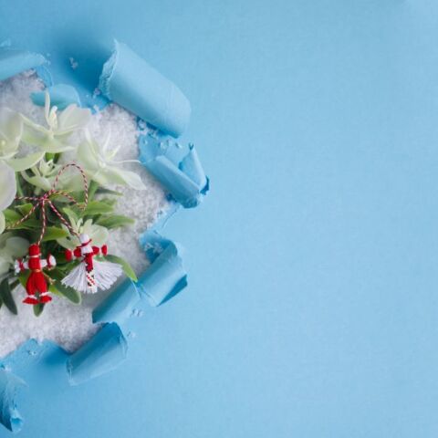 Λουλούδια του χιονιού