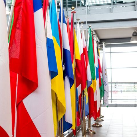 Σημαίες κρατών της Ευρωπαϊκής Ένωσης και της Mercosur