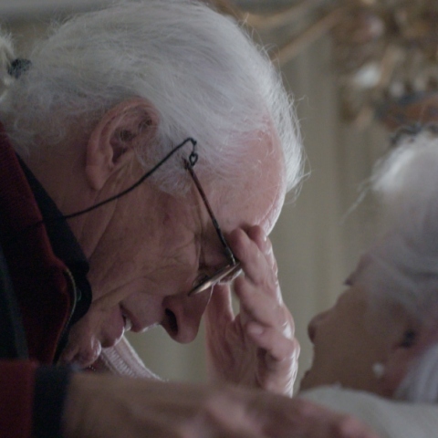 Επιστροφή στην πατρίδα