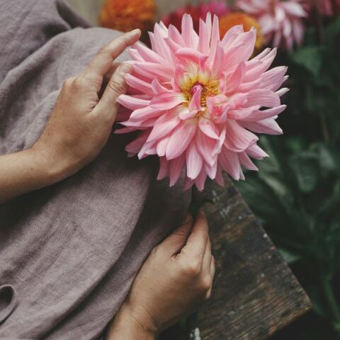 Ποιοι γιορτάζουν σήμερα 26 Ιανουαρίου 2026; Το εορτολόγιο της Athens Voice σου τους θυμίζει. Μην ξεχάσεις να τους ευχηθείς!