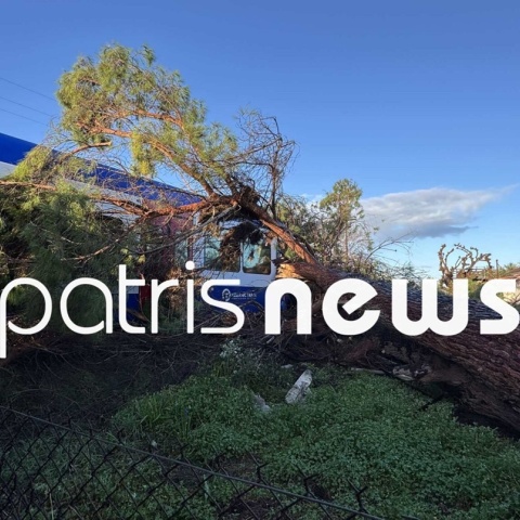 Δέντρο έπεσε σε εν κινήσει τρένο στο δρομολόγιο Πύργος - Κατάκολο