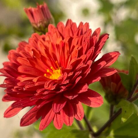 Εορτολόγιο: Σήμερα, 30 Ιανουαρίου 2026 γιορτάζει…