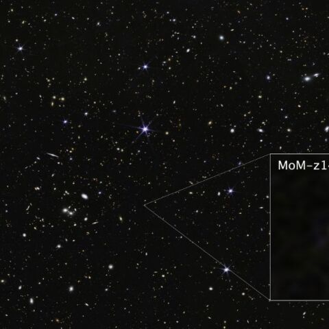 Το τηλεσκόπιο James Webb εντοπίζει τον γαλαξία MoM‑z14, τον πιο μακρινό και αρχαίο που έχει παρατηρηθεί, προσφέροντας νέα στοιχεία για το πρώιμο σύμπαν 