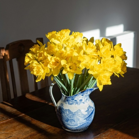 Λουλούδια σε βάζο