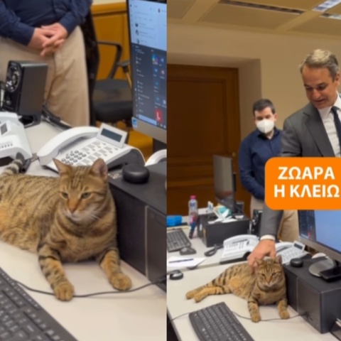 Ο Κυριάκος Μητσοτάκης στο Μέγαρο Μαξίμου με τη γατούλα Κλειώ