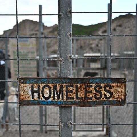 Καταφύγιο αδέσποτων ζώων