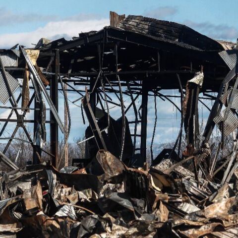 Βιολάντα: Το αλαλούμ των πιστοποιήσεων και η δεξαμενή «φάντασμα»