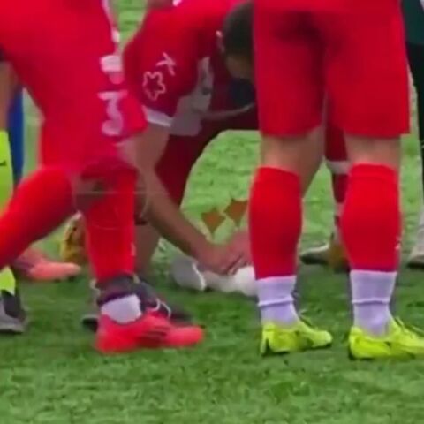 Πέθανε ο γλάρος που επανήλθε με ΚΑΡΠΑ από ποδοσφαιριστή στην Τουρκία