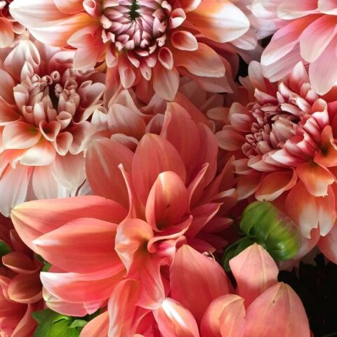 Εορτολόγιο: Σήμερα, 26 Φεβρουαρίου 2026, γιορτάζει…