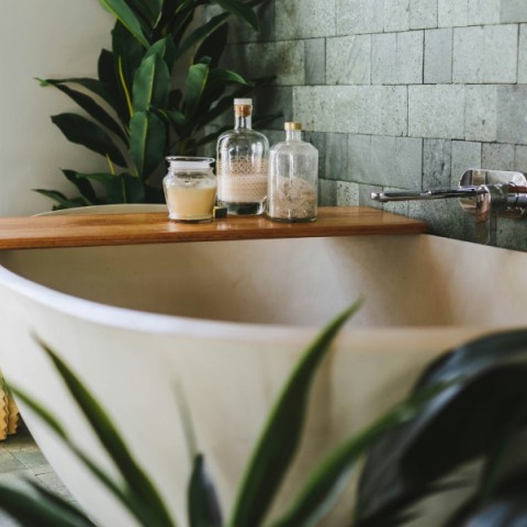 Διακόσμηση μπάνιου: Ποια φυτά αντέχουν στην υγρασία και πώς αλλάζουν την ατμόσφαιρα;