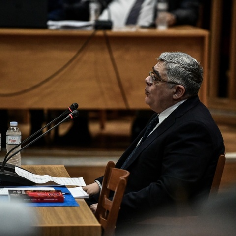 Ο Νίκος Μιχαλολιάκος