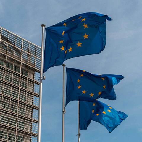 Σημαίες Ευρωπαϊκής Ένωσης