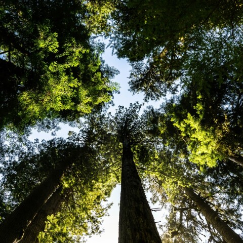 «Καμπάνα» 10 εκατ. ευρώ στην Πορτογαλία από την ΕΕ για την προστασία της βιοποικιλότητας