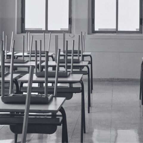 Εκπαιδεύοντας καθαρματάκια